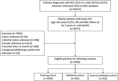 A Web-Based Prediction Model for Cancer-Specific Survival of Elderly Patients With Early Hepatocellular Carcinoma: A Study Based on SEER Database